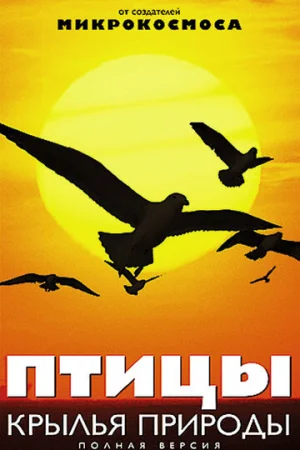Птицы: Крылья природы 1 сезон онлайн
